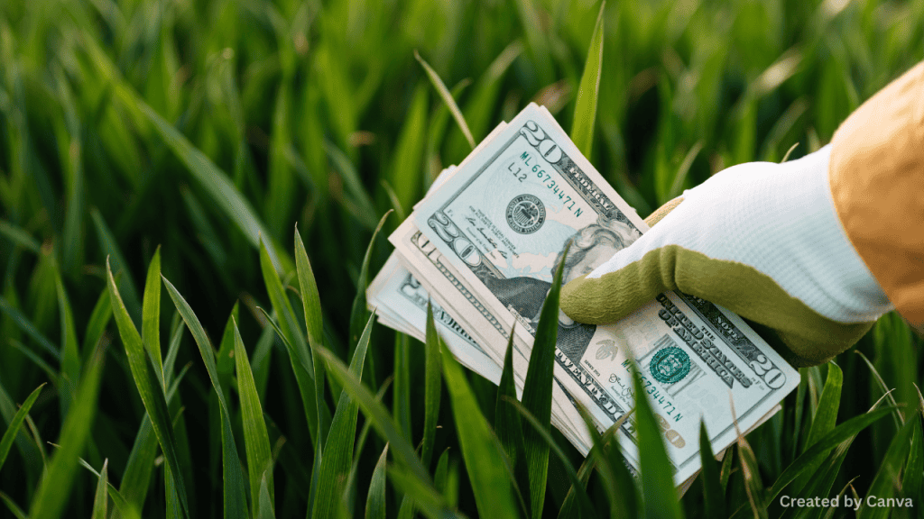 Help with money and practical things