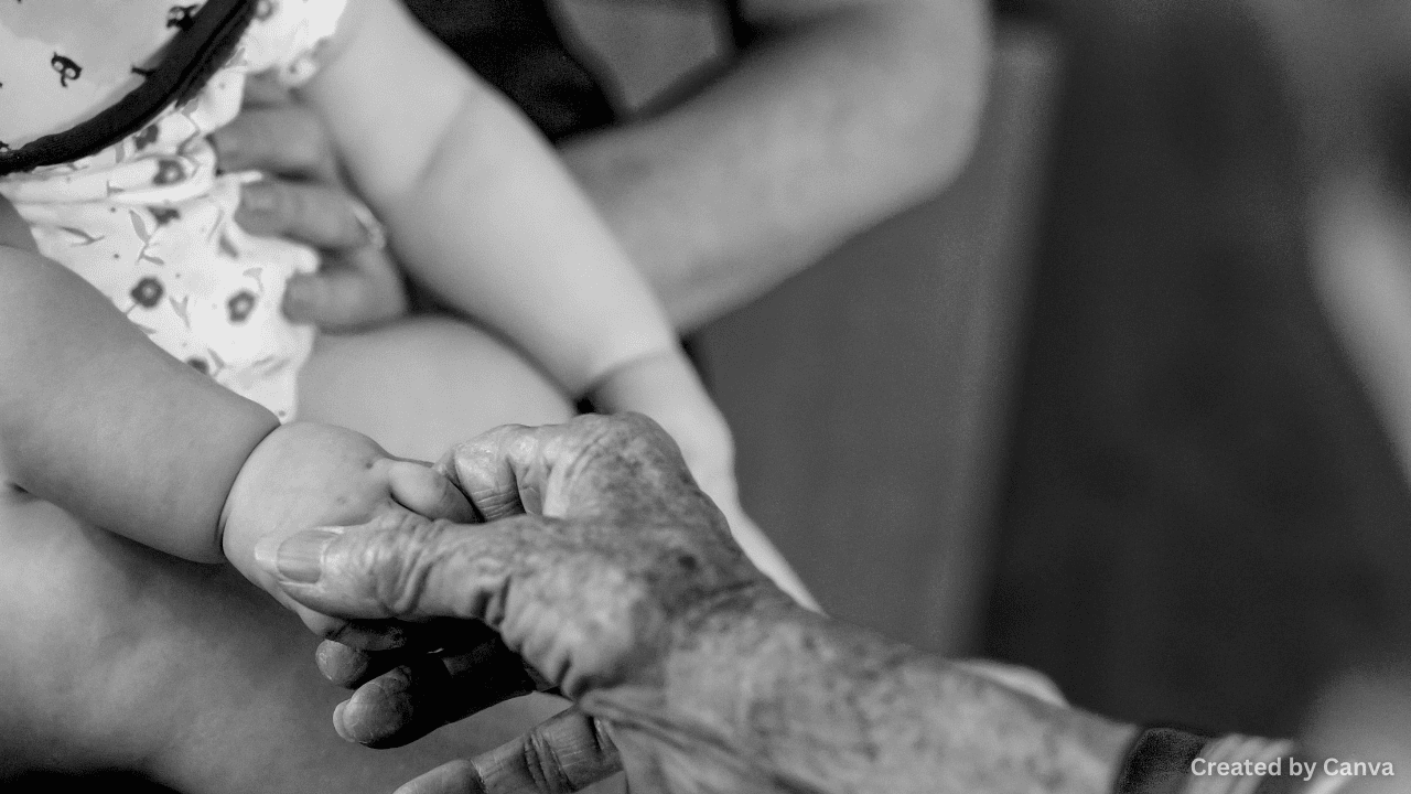 When Grandparents Are Seniors Accessing Senior Support While Raising Kids