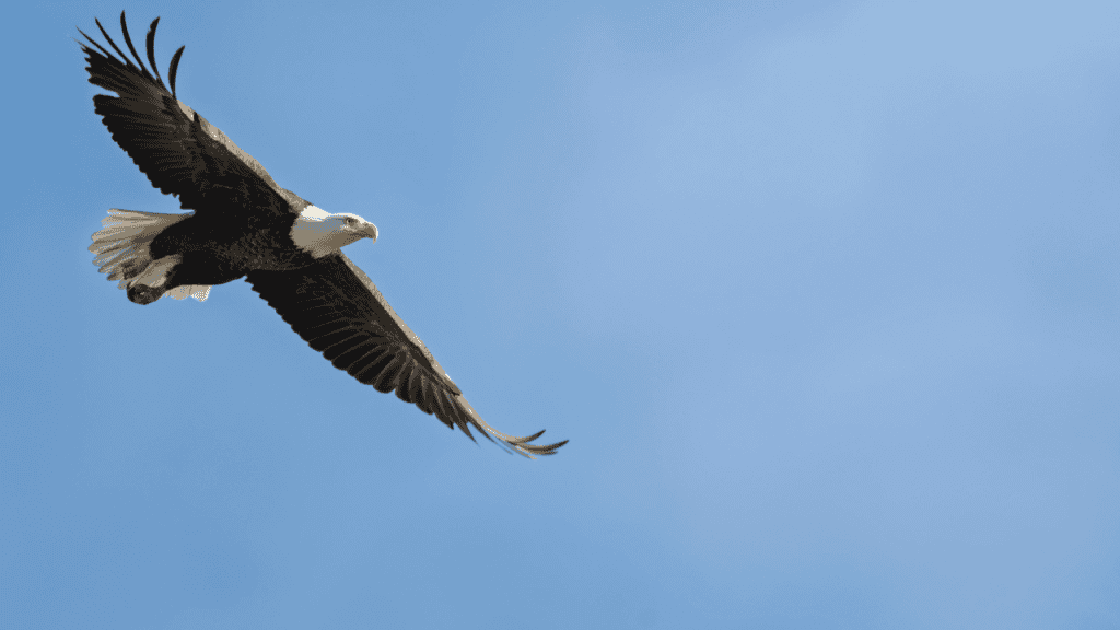 Consistency and Clear Expectations