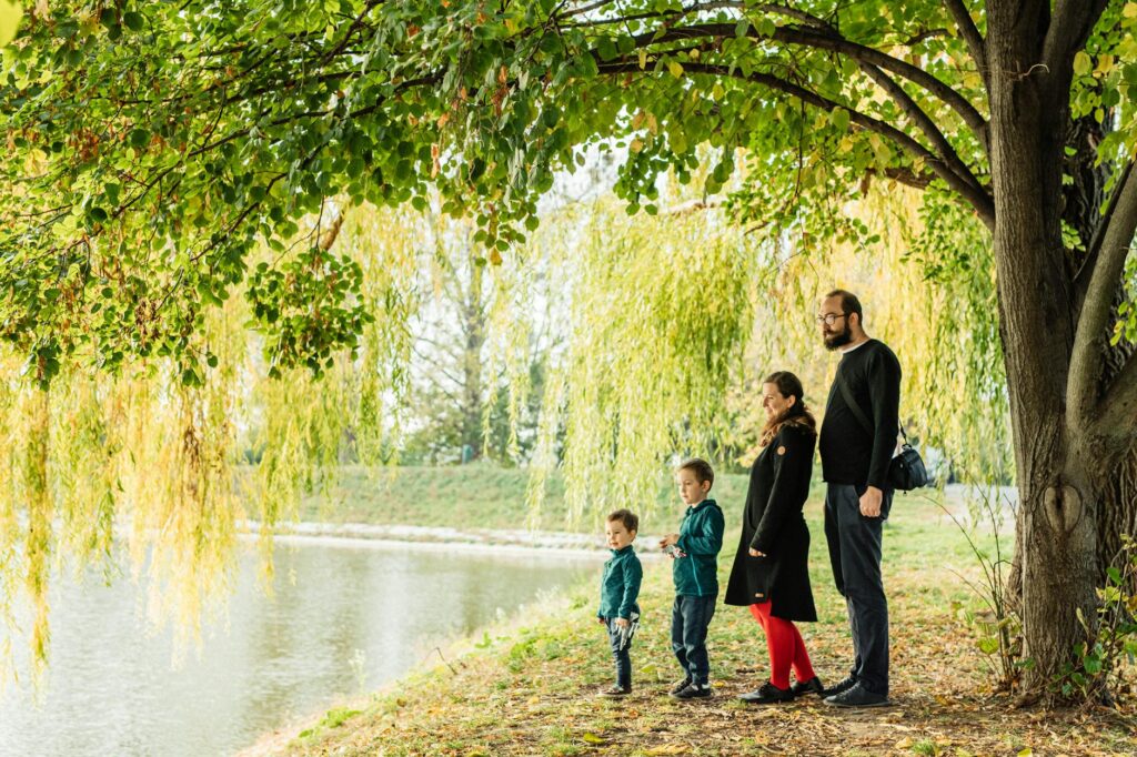 A family tree diagram showing changes in family dynamics post-divorce. — impact of divorce on grandchildren