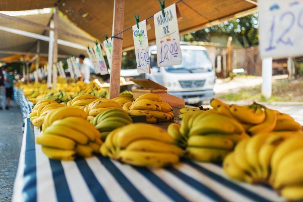 A local community resource fair for grandfamilies in Utah. — after-school programs grandfamilies Utah