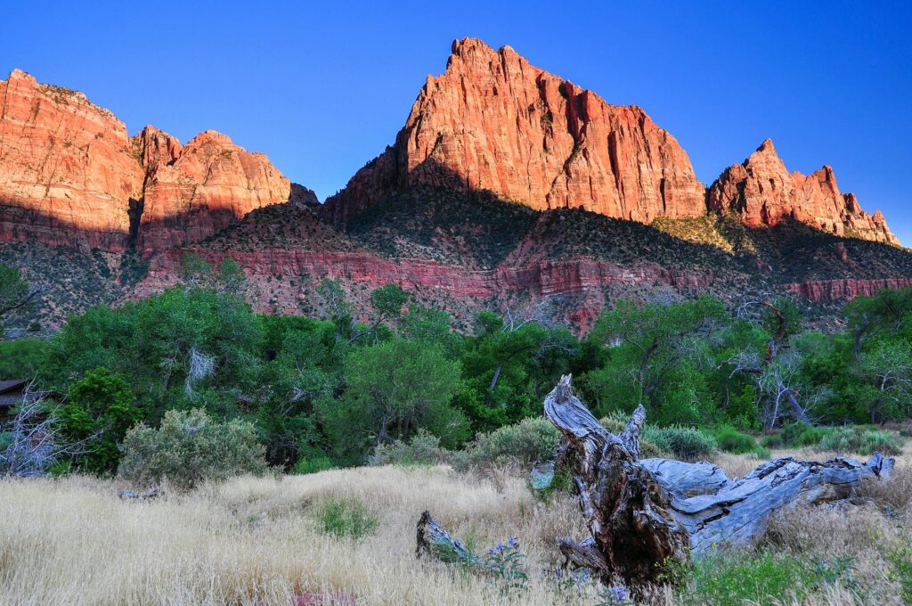 Grandfamilies benefits Utah