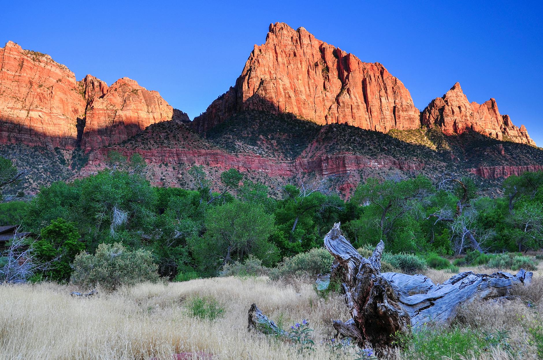 Grandfamilies benefits Utah