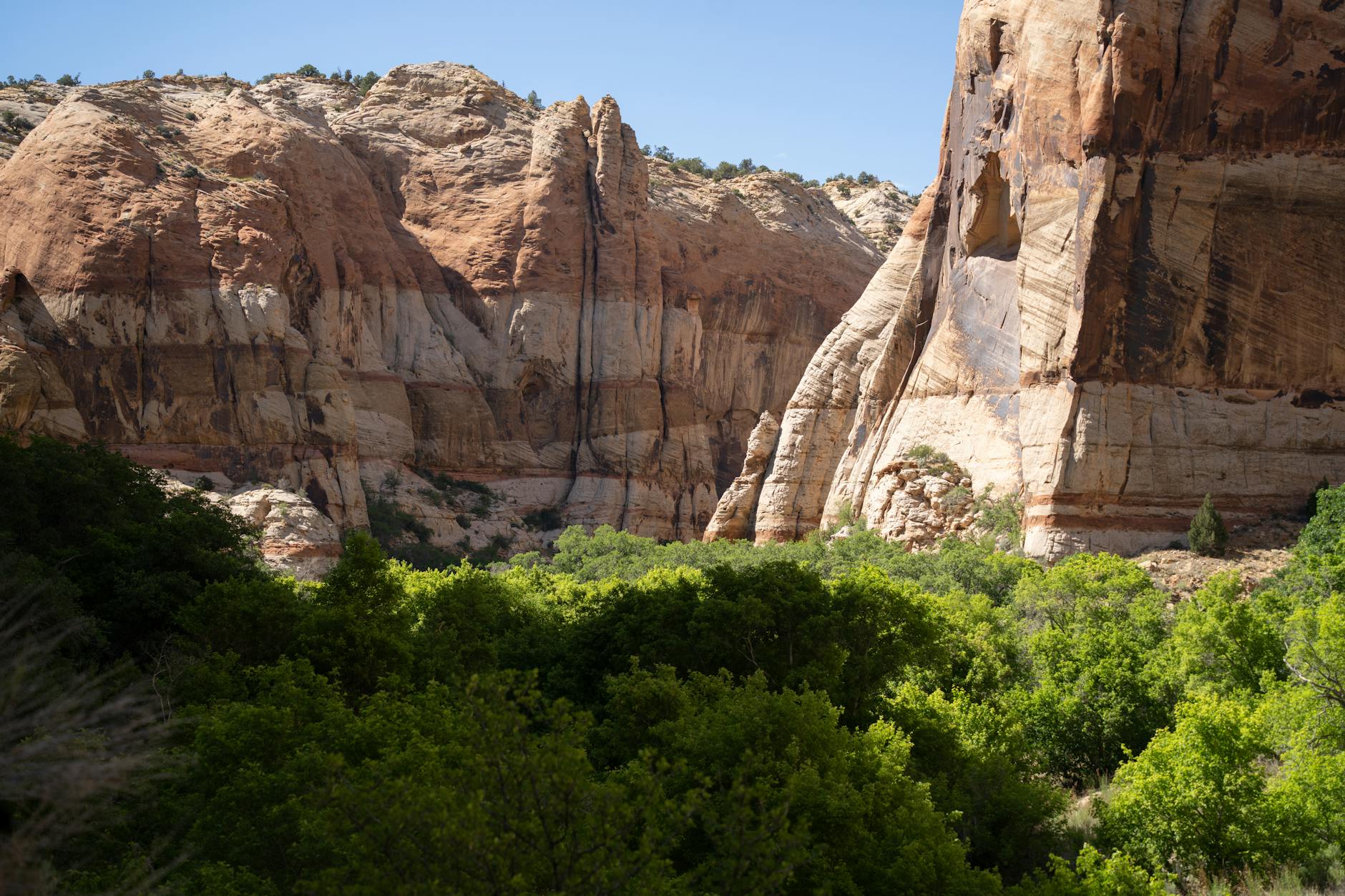 Grand Families Utah