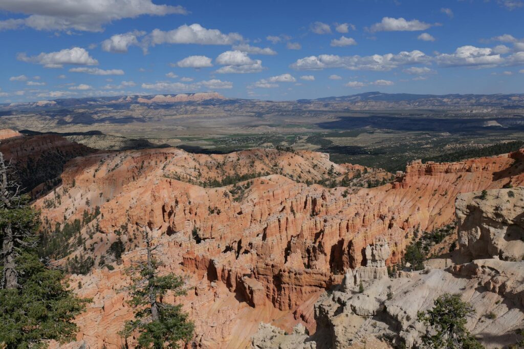 Grandfamilies resources Utah